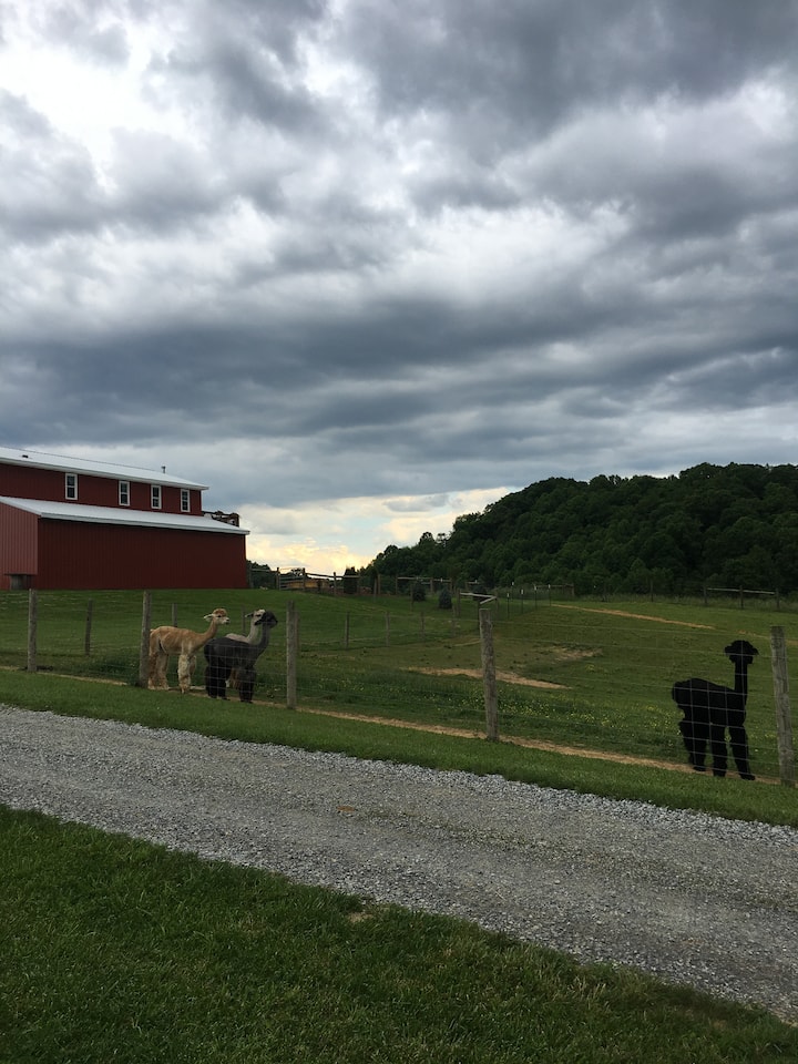 Rural Retreat Holiday Rentals & Homes Virginia, United States Airbnb