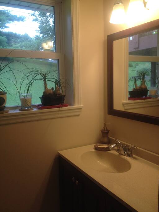 Tiled bathroom with window