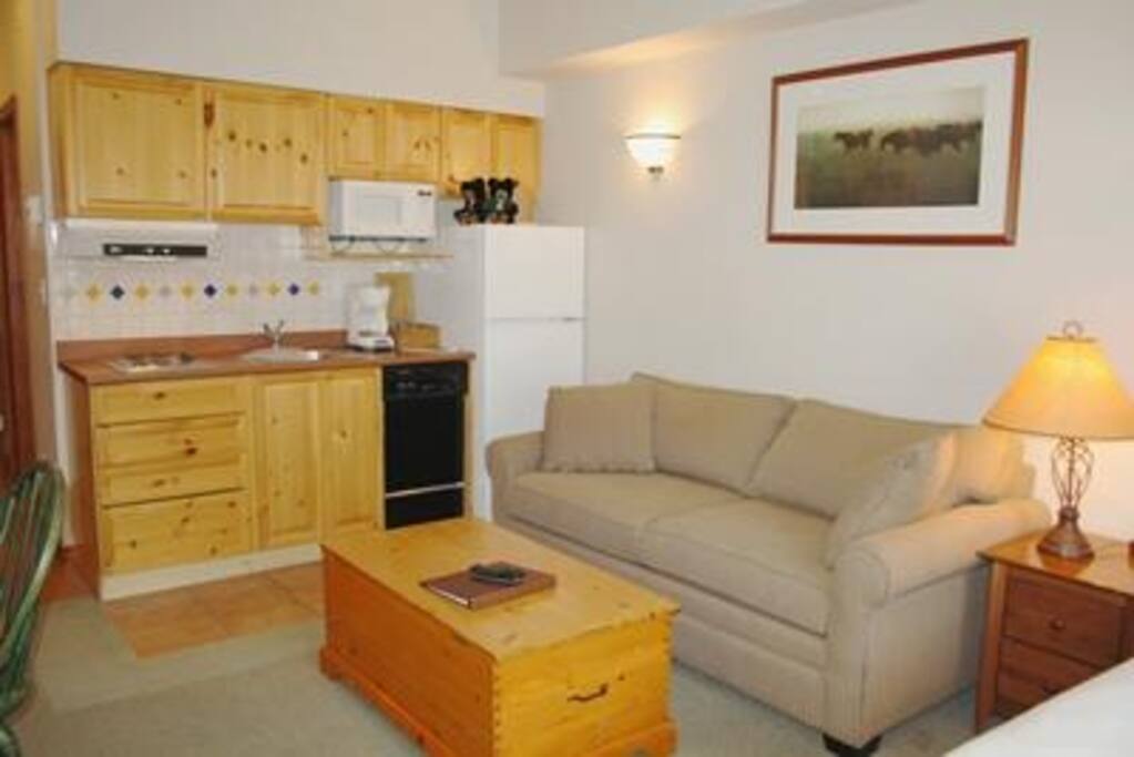 Standard Kitchen/Living - act