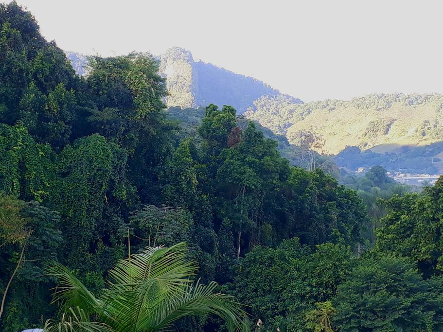 A esquerda pura natureza.