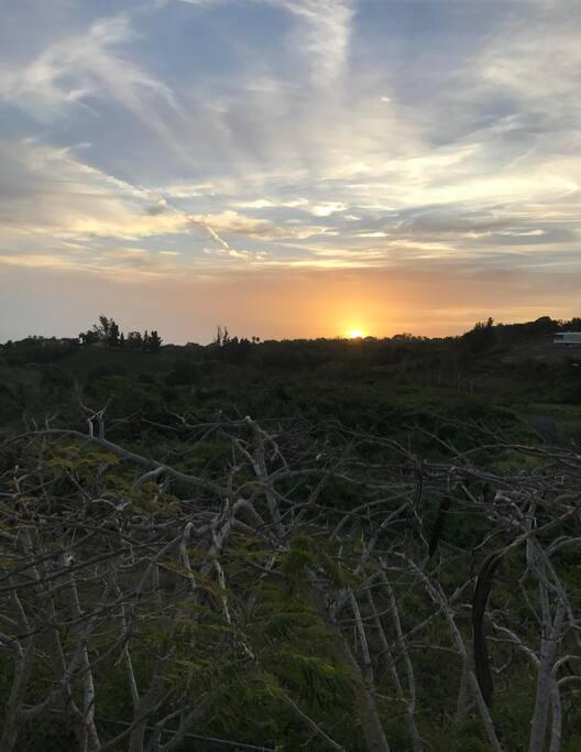 SUNRISE