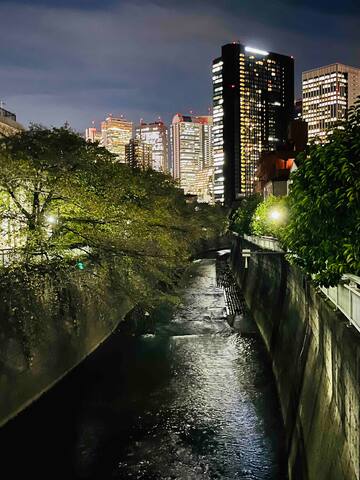 《花苑》2分钟即达新宿／新房8⃣️折【新宿稀有一线河景樱花高端独栋别墅】宽敞舒适／新宿&涩谷都心商圈 gallery image 2