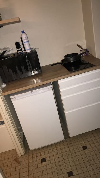 Cuisine (micro-ondes, frigo, table de cuisson).