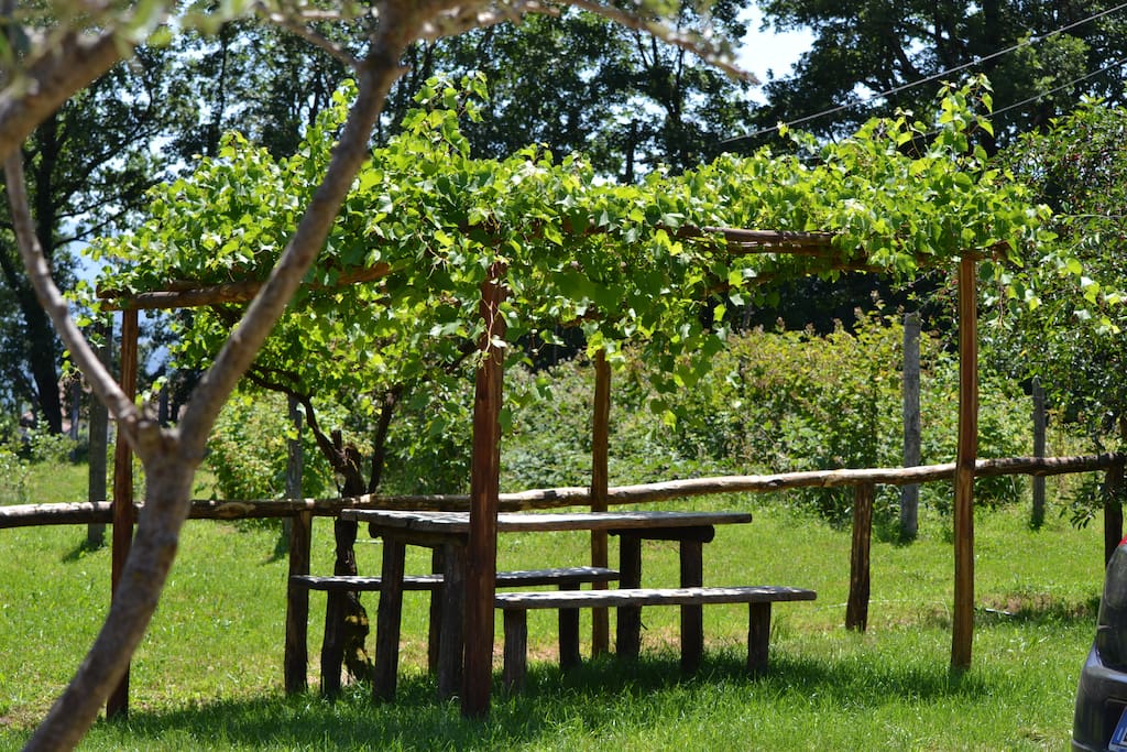 Eating out under the grapes!