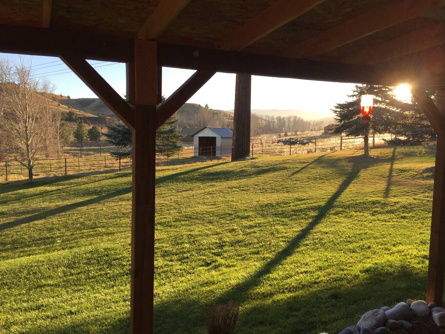 Side Yard