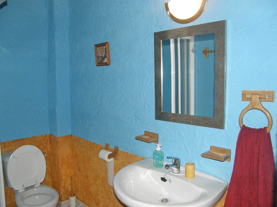 Piso de abajo. Baño completo.