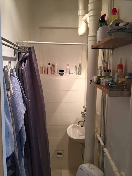 WC where you can part the shower and toilet.