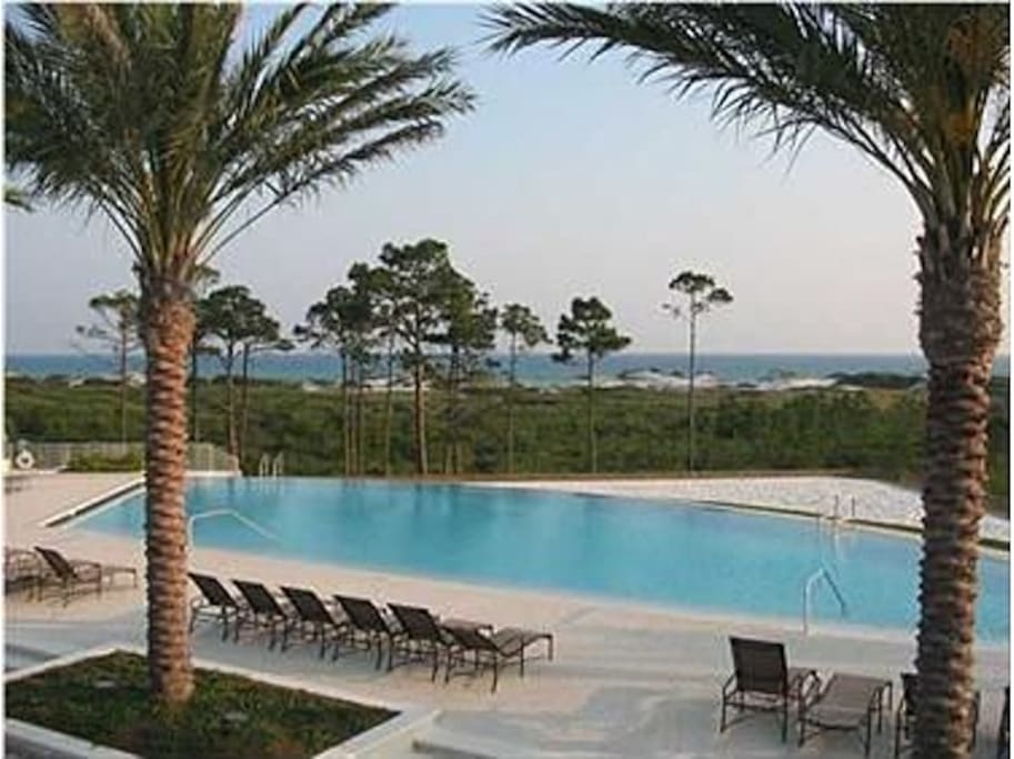 Infinity Pool 300 yards from Gulf of Mexico