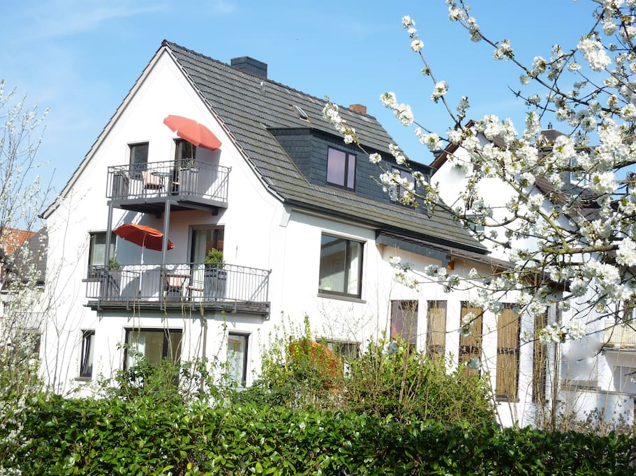 Aussenansicht Haus am Park