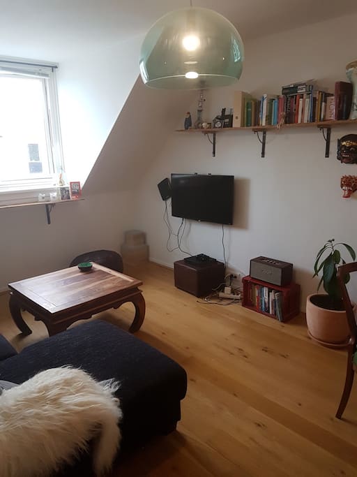 Living Room (inflatable bed available)