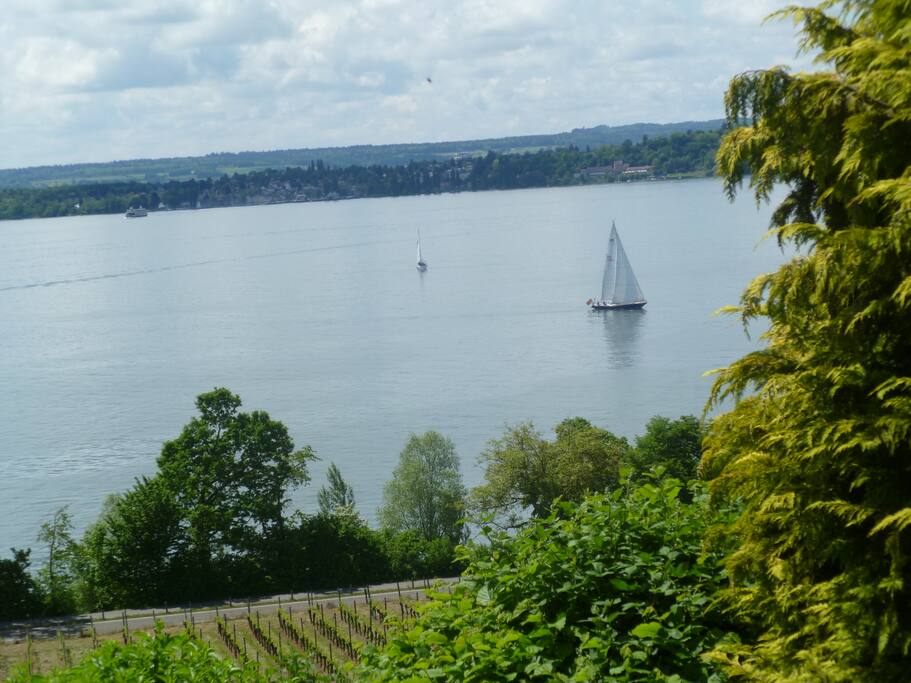 Blick auf den See