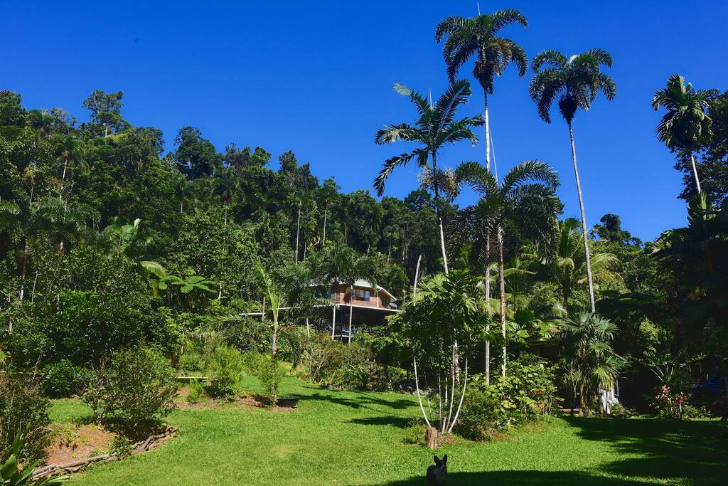 beautiful garden