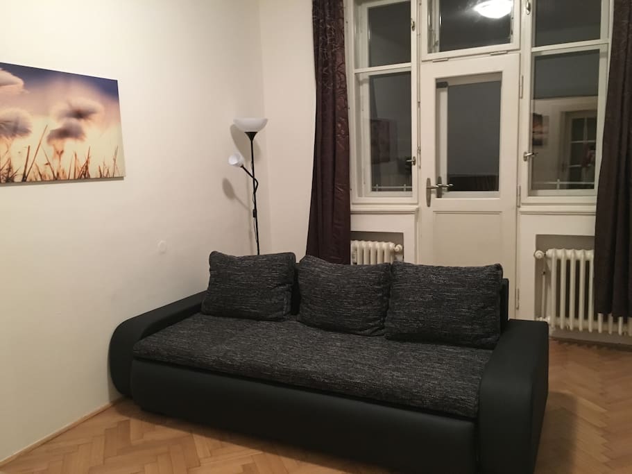 Living room with sofa bed