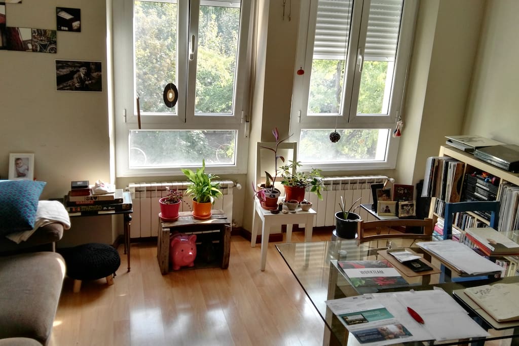 Salón, zona compartida del apartamento