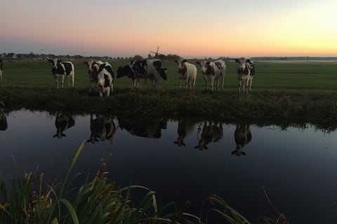 Private unique cosy country house. Perfect getaway