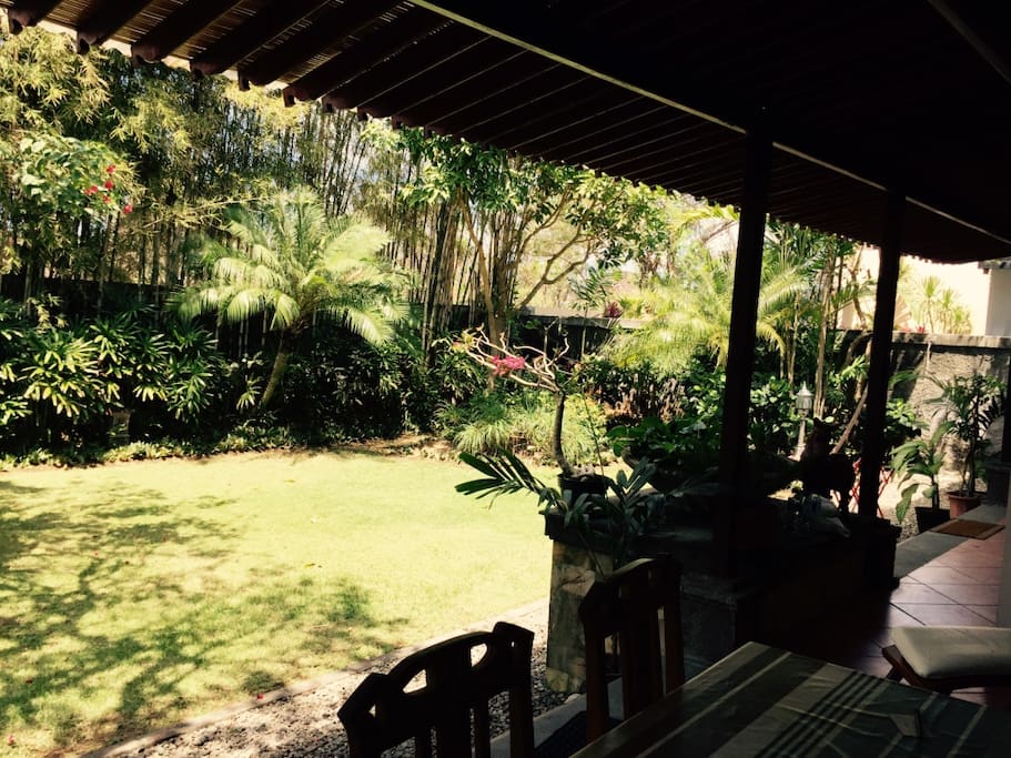 Garden view