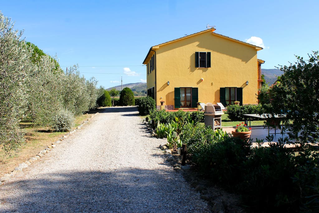 Viale di entrata / Main entrance