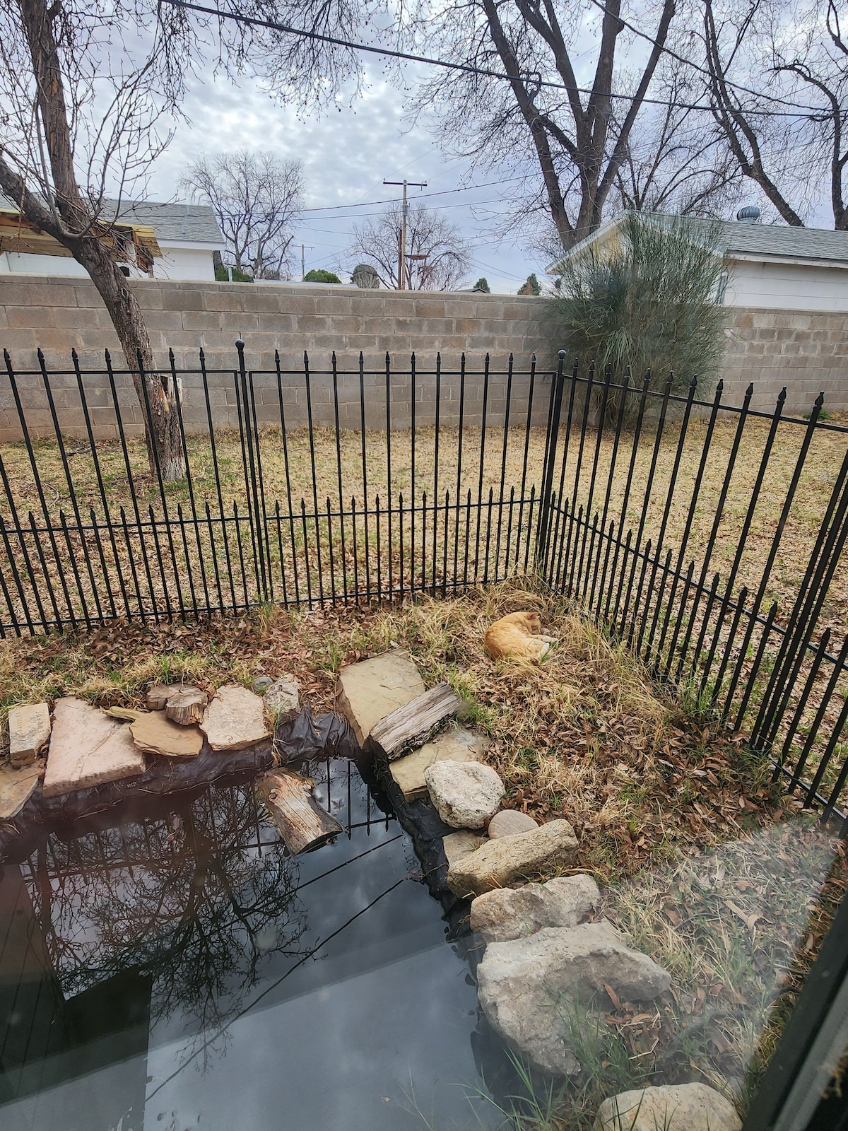 A fenced backyard is visible, featuring a patch of grass and some scattered rocks. A small pond can be seen, bordered by stones. In the background, a tree is observed along with the gray sky above, offering a calm outdoor space.