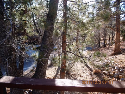 Dog Friendly House Steps Away from National Forest