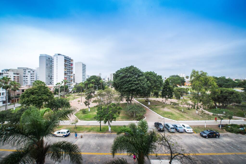 View from the windows