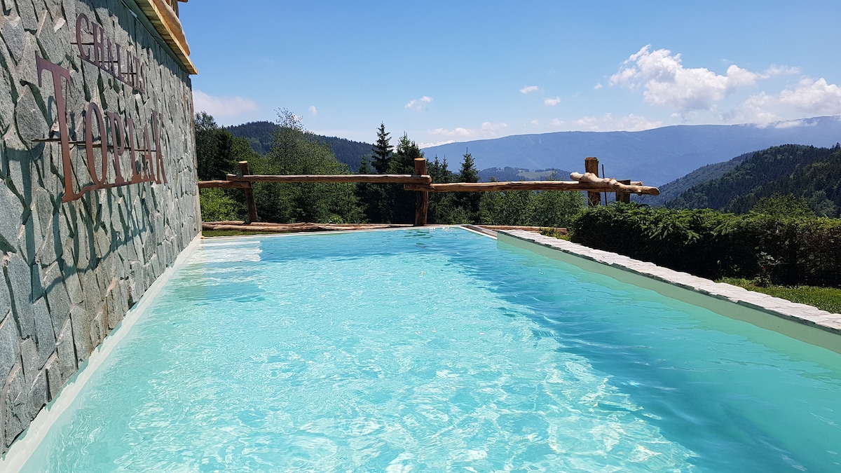 A refreshing swimming pool is set against a backdrop of green hills and a clear blue sky. The pool's crystal-clear water reflects the surrounding landscape, creating an inviting space for relaxation.
