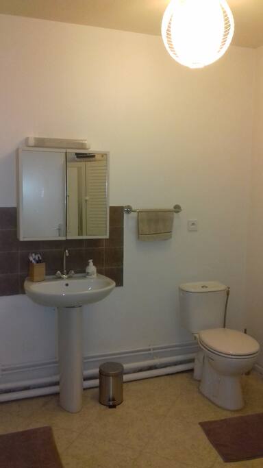 la salle de bain
