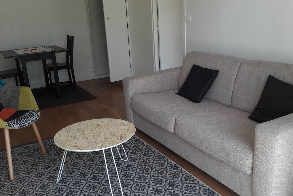 Salon avec canapé-lit 140X185/Living room with a convertible sofa-bed