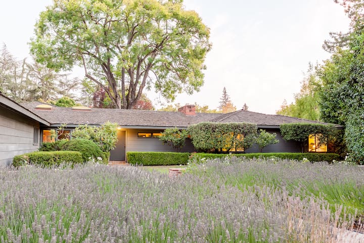 Pool, Hot Tub & Huge Yard in Palo Alto! gallery image 5