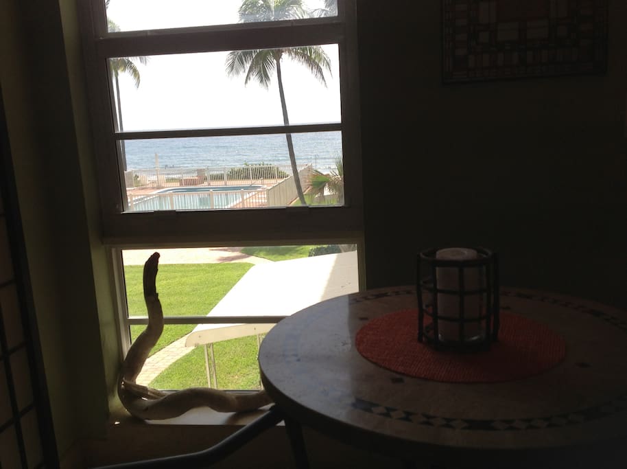 Pool/ocean