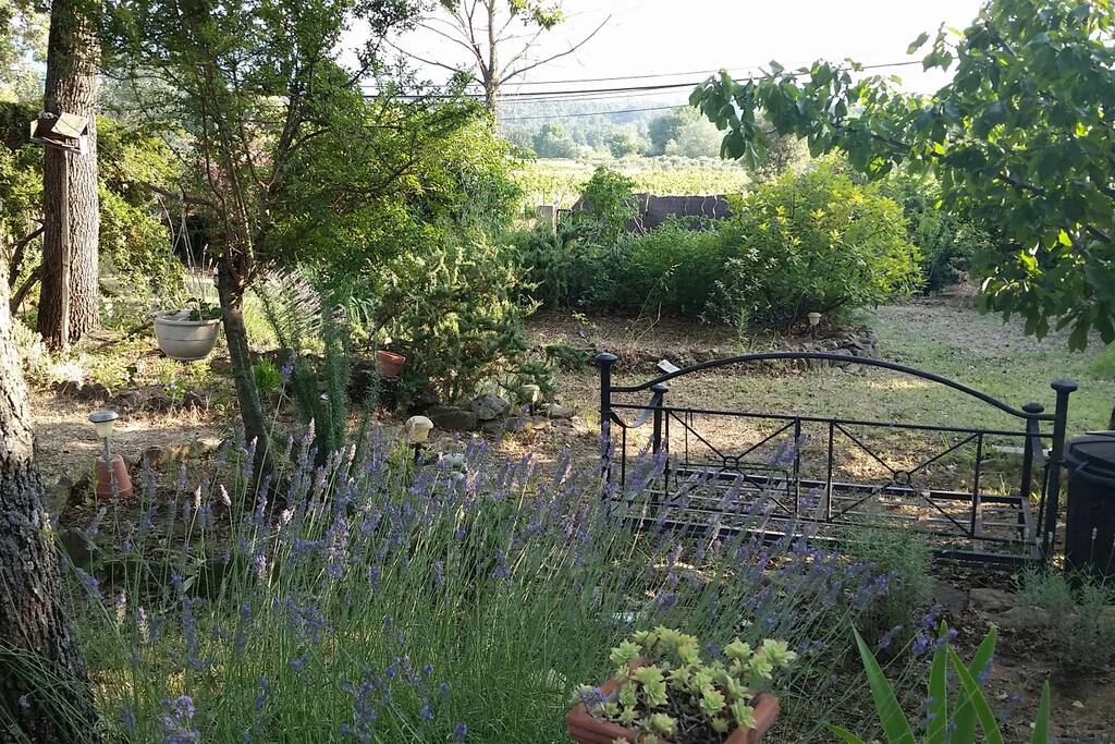 jardin face aux vignes