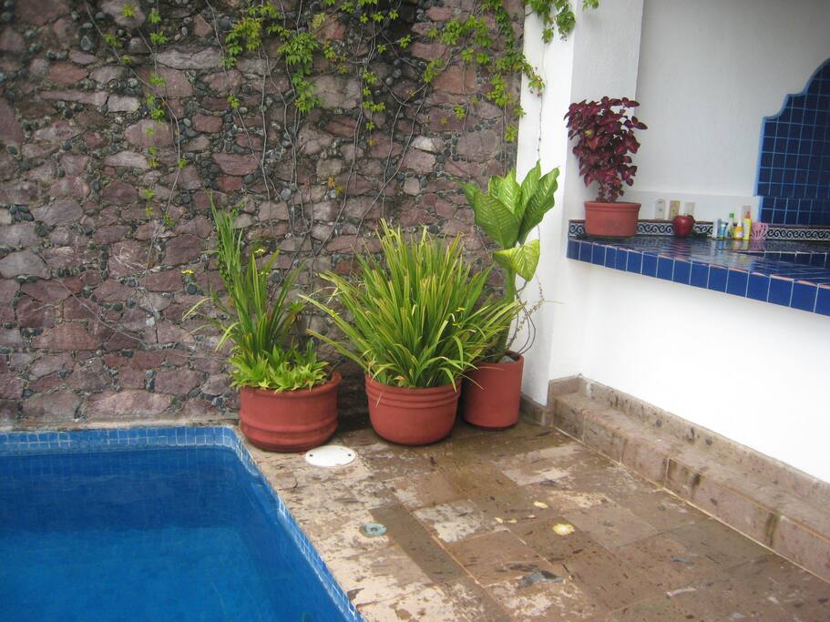 Pool and outdoor grill