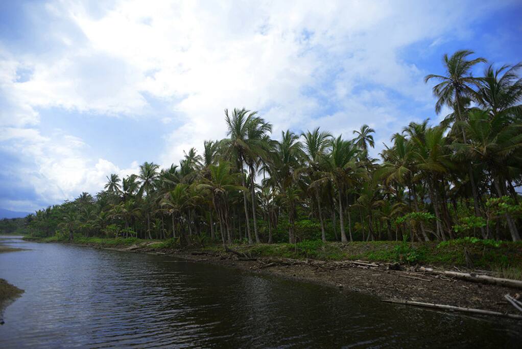 Stream that flows close to the resort's beach