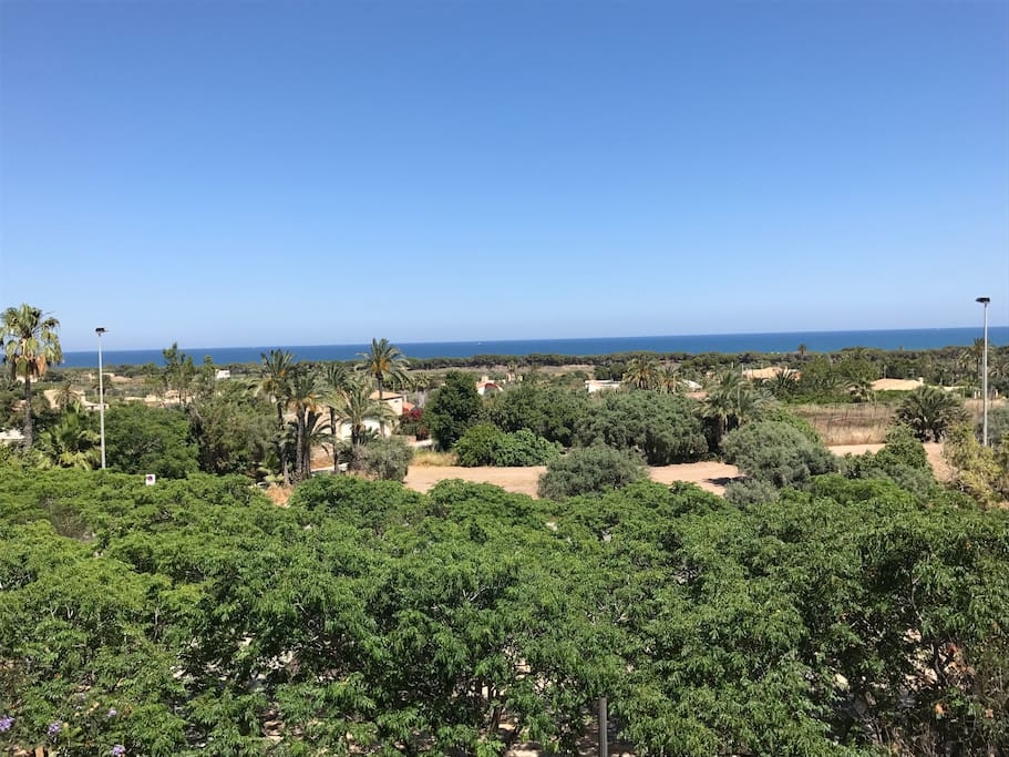The view from the apartment. The beach is just a 10 - 15 min walk away