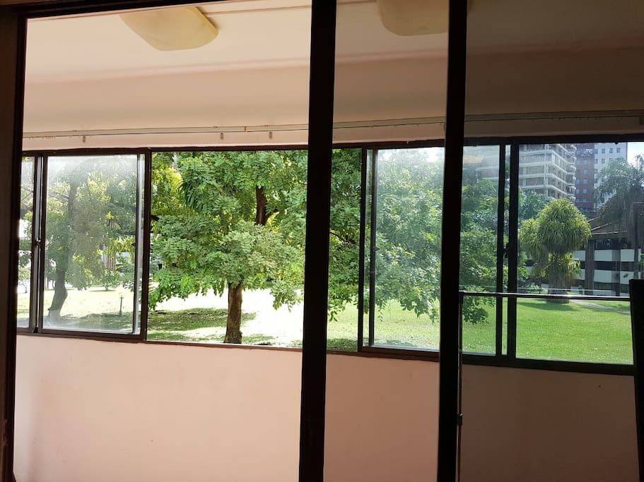 Small field right infront of the balcony