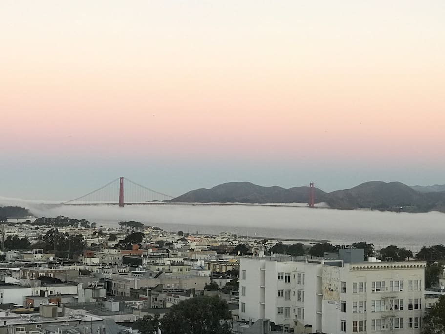 Morning fog