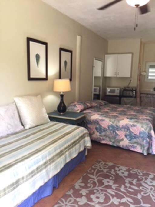 Sleeping Area (double twins/converts to king & a single twin)