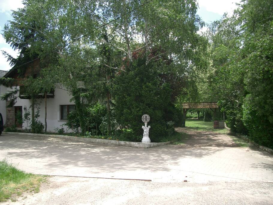 The house