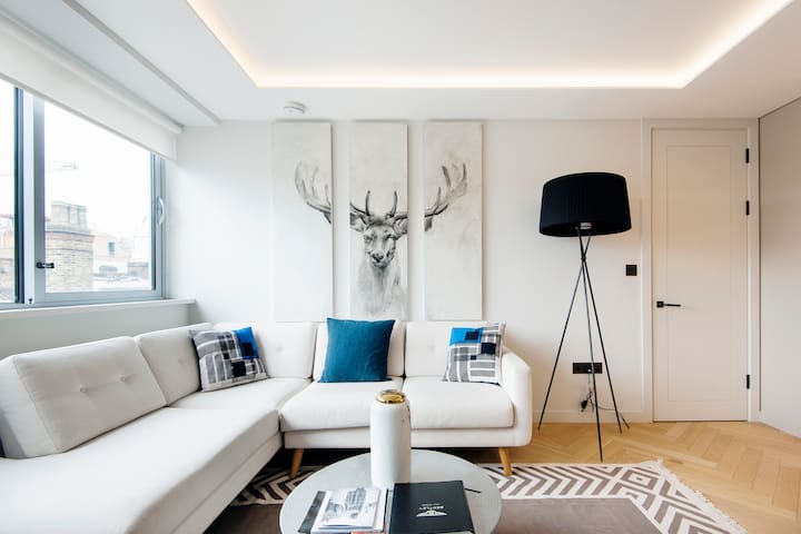 The Well Designed Apartment near Oxford Circus
