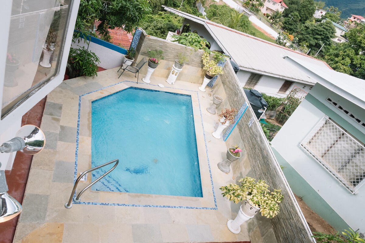 A private pool is situated within a stone-paved area, framed by lush plants and decorative pots. The octagonal shape of the pool is highlighted, and steps lead down into the water. Surrounding hills and roofs of nearby houses can be seen in the background.