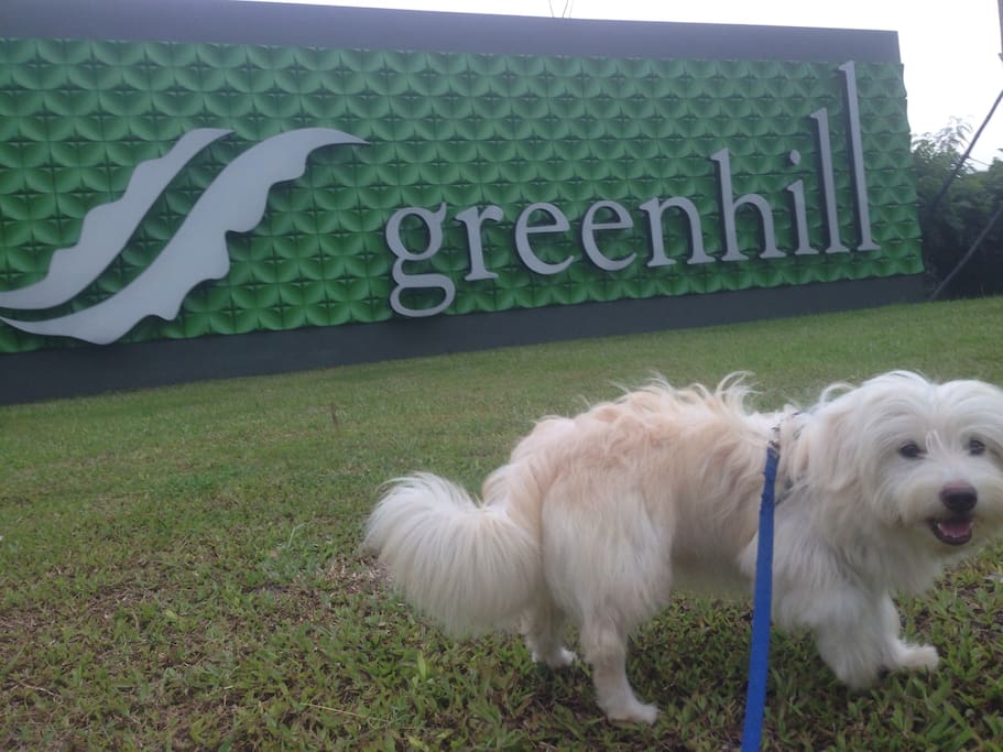 perumahan Ciputra Greenhill