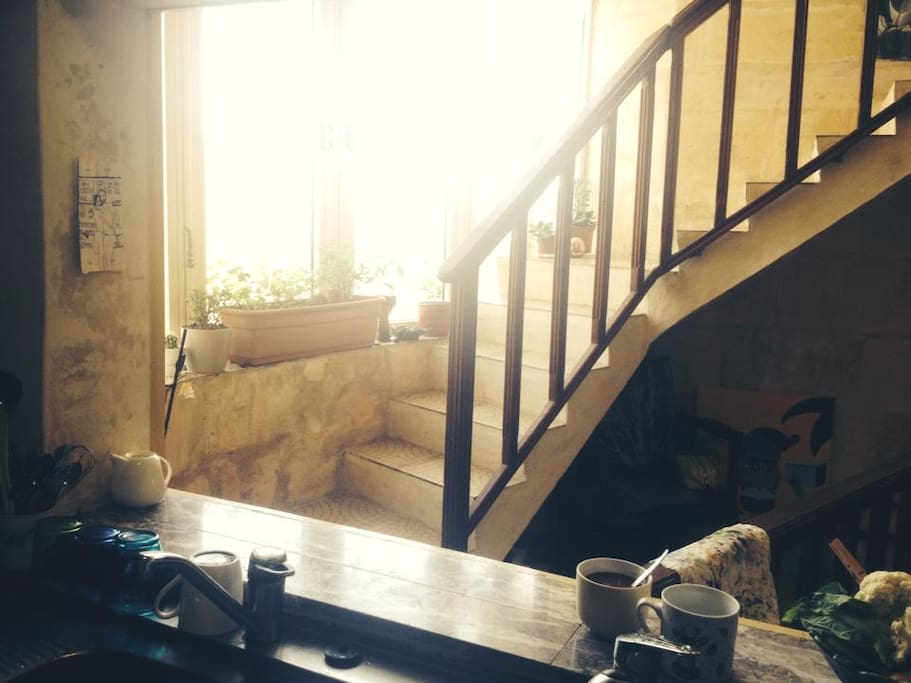 Out from the kitchen, and up the stairs to the rooftop