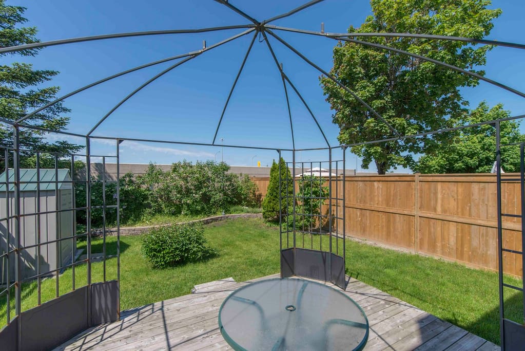 Back yard