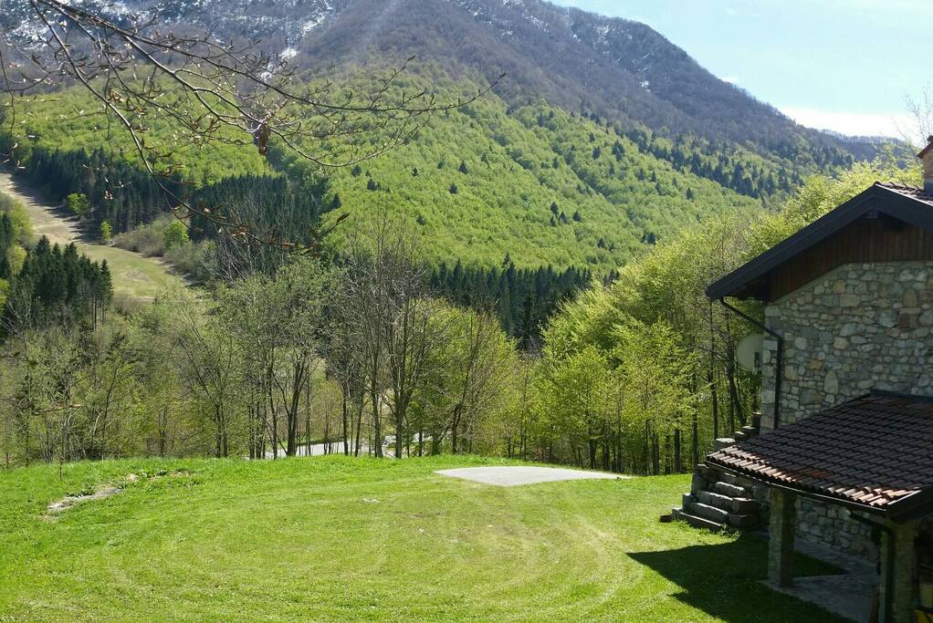 Giardino