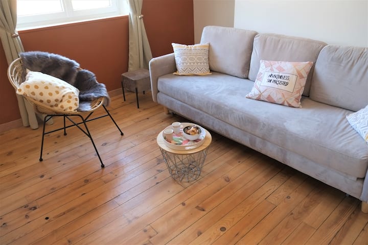 Მისაღები ოთახი დიდი დივნით