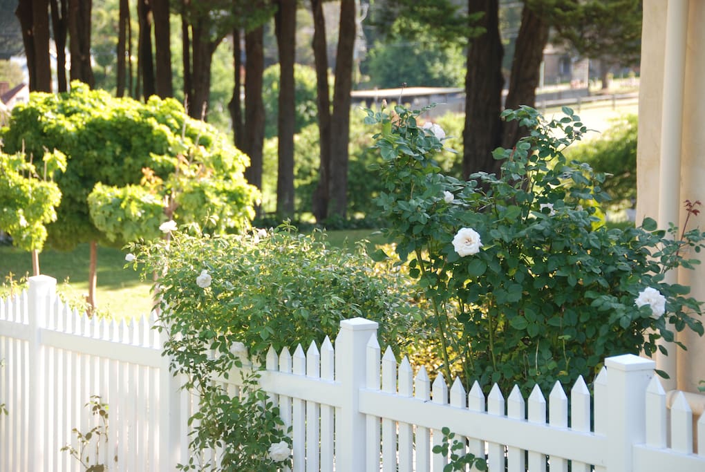 Rose garden