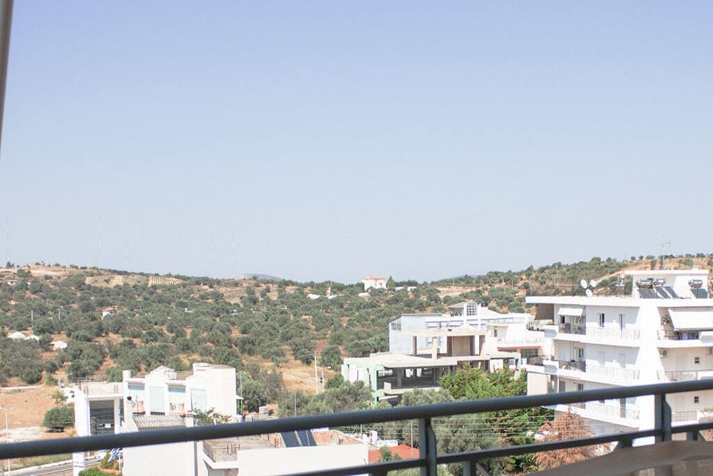 View from main balcony
