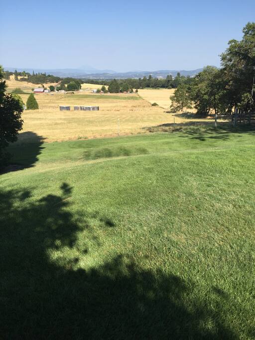 View and front yard