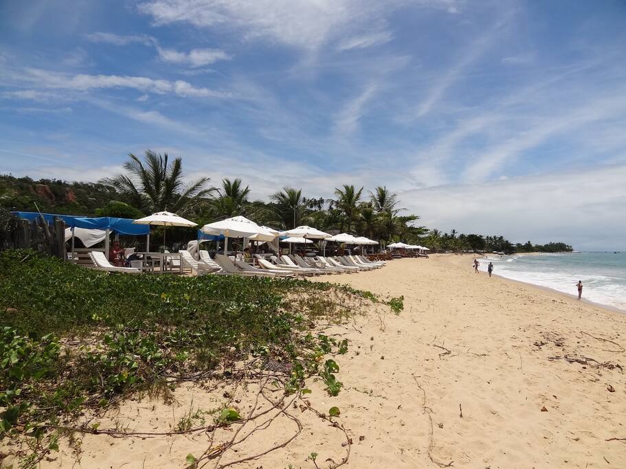 Área Praia: Espreguiçadeiras e cadeiras exclusivas dos hóspedes.