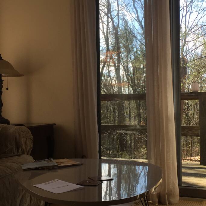 Forest reflected in living room