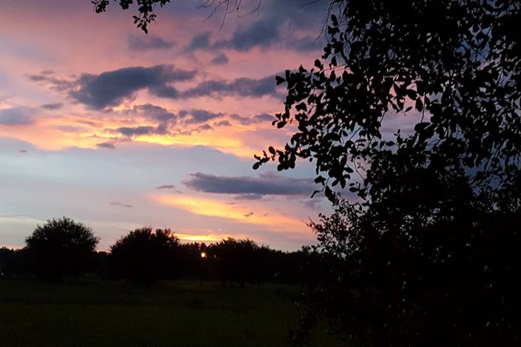 Sunset view from the backyard woods